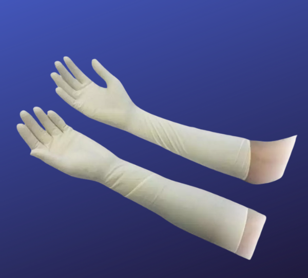 Latex Surgical Elbow Length Powder Free Gloves